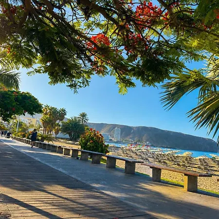 In Cristianos Los Cristianos (Tenerife)